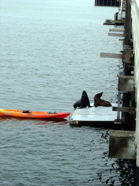 Do you want the front seat?